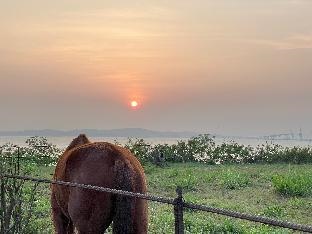 Breeze & Waves A Seaside Inn
