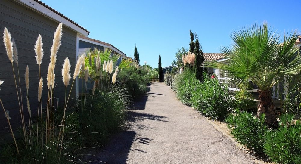 Camping Hameau Des Canisses