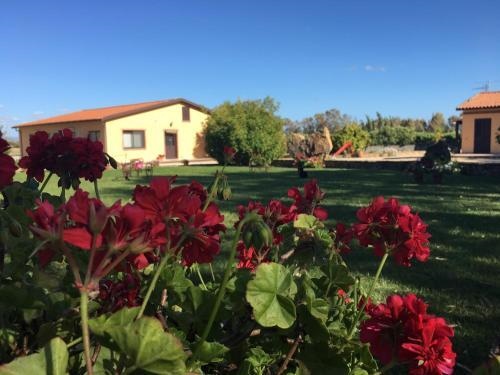 Agriturismo Sechi E Tilocca