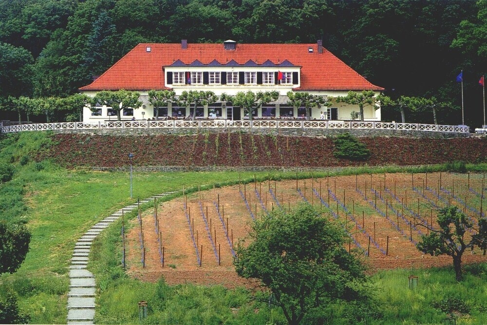 Cafe-Restaurant-Hotel Johannisberg