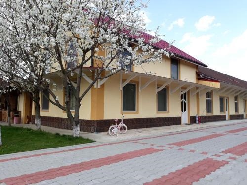 Casa Flavia