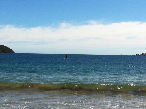 Cabanas El Tambo De La Herradura