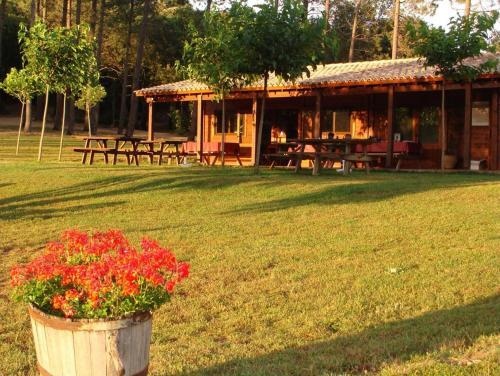 Camping Maçanet de Cabrenys