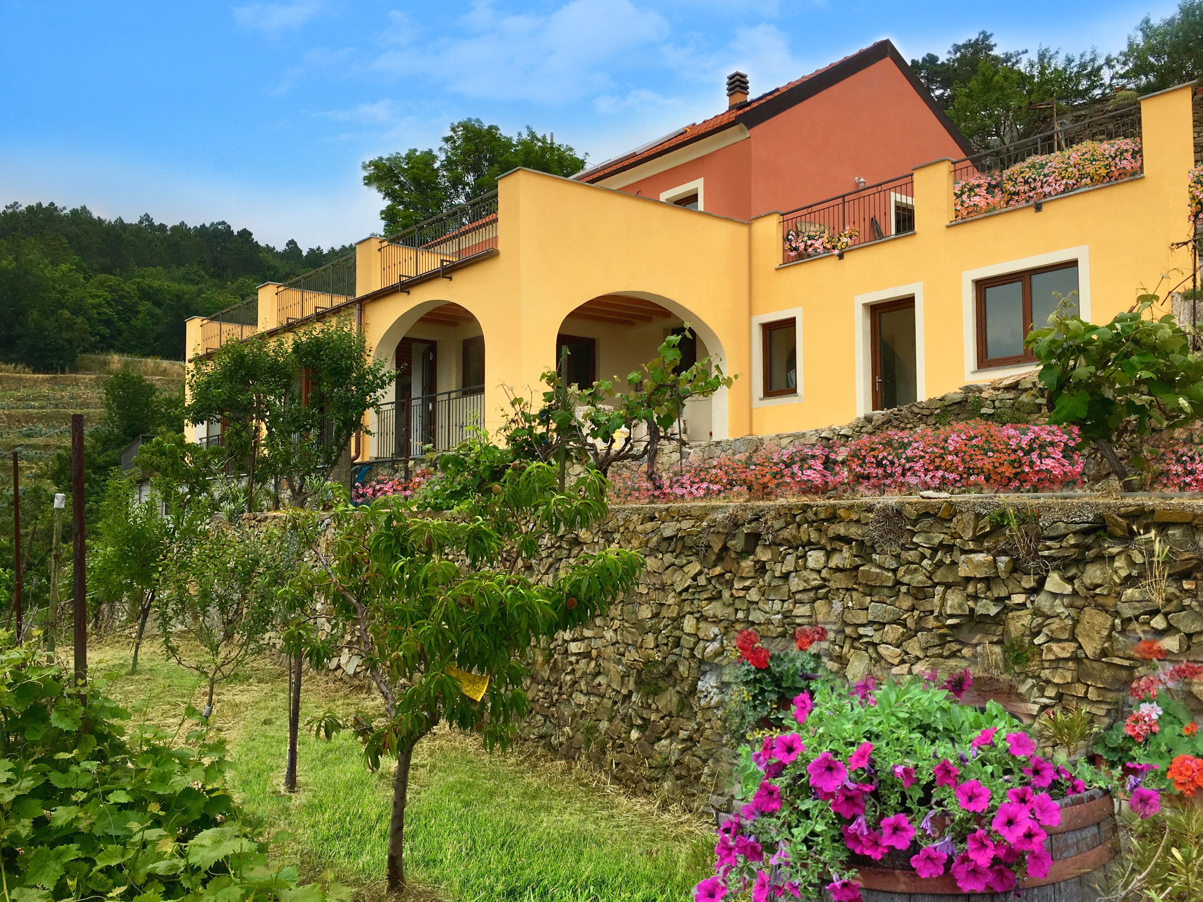 Agriturismo Lavalleggia