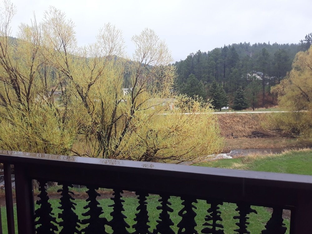 Alice's Black Hills Cottage