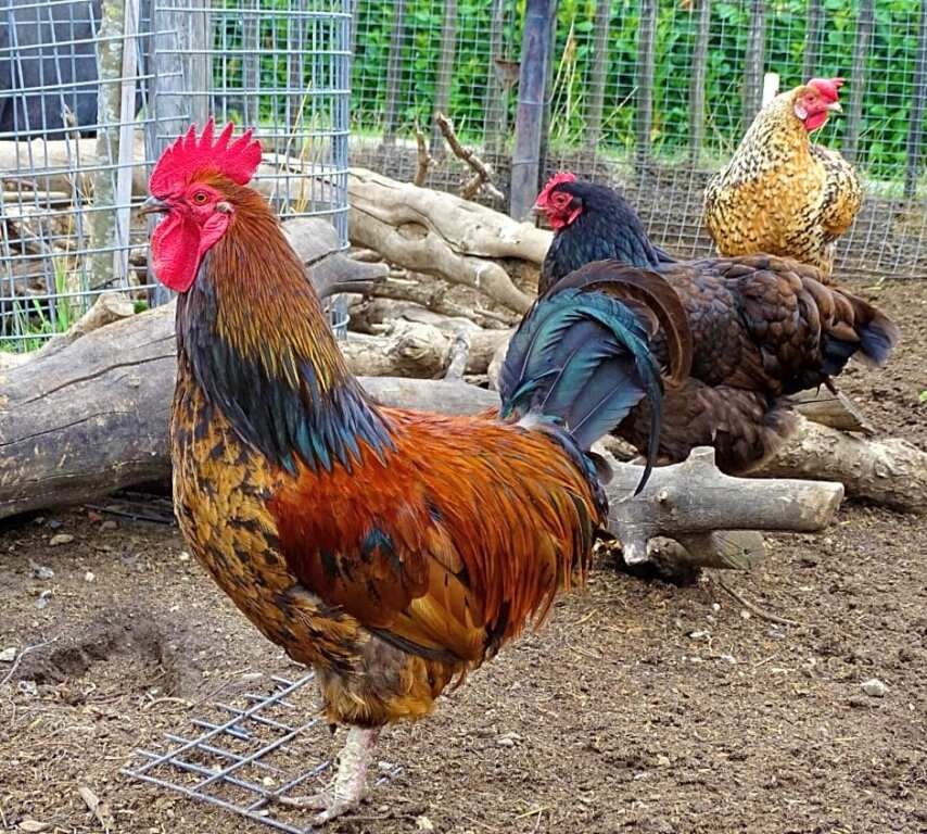 De Oude Stoffeerderij