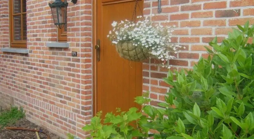 B&B De Koperen Pomp & Cattery Miauwke