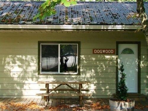 Cabins and Campground at Cultus Lake Park