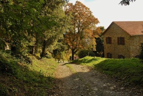 Agriturismo Giandriale