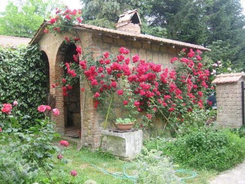 Agriturismo Montepereto