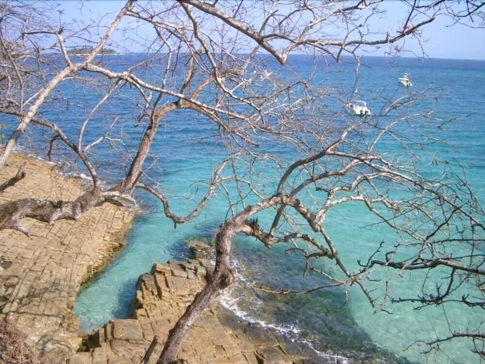 Beautiful Apartment With Golf Cart