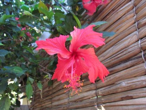 Cheiro De Mar Guest House