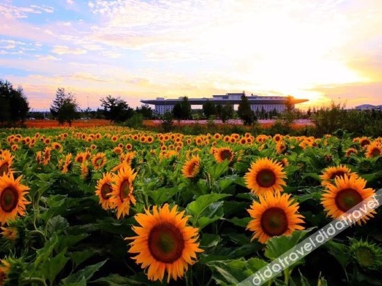 Changbai Paradise Resort