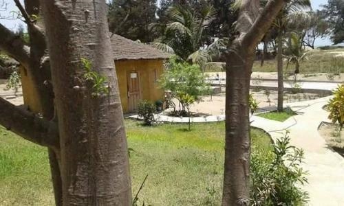 Campement Les Baobabs