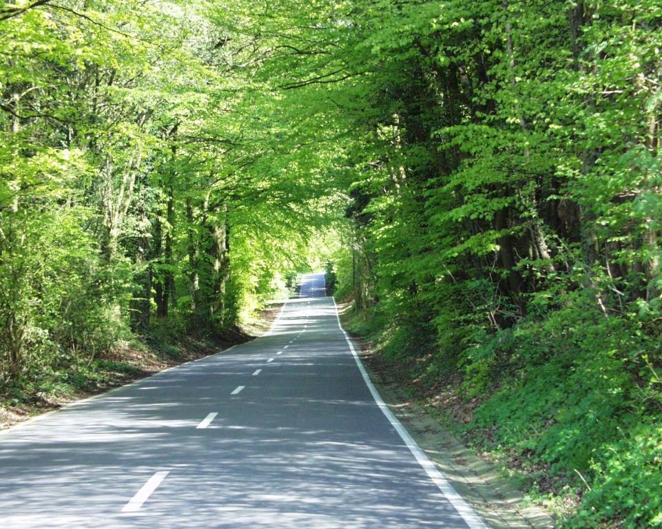 Berggasthof Wilhelmshohe