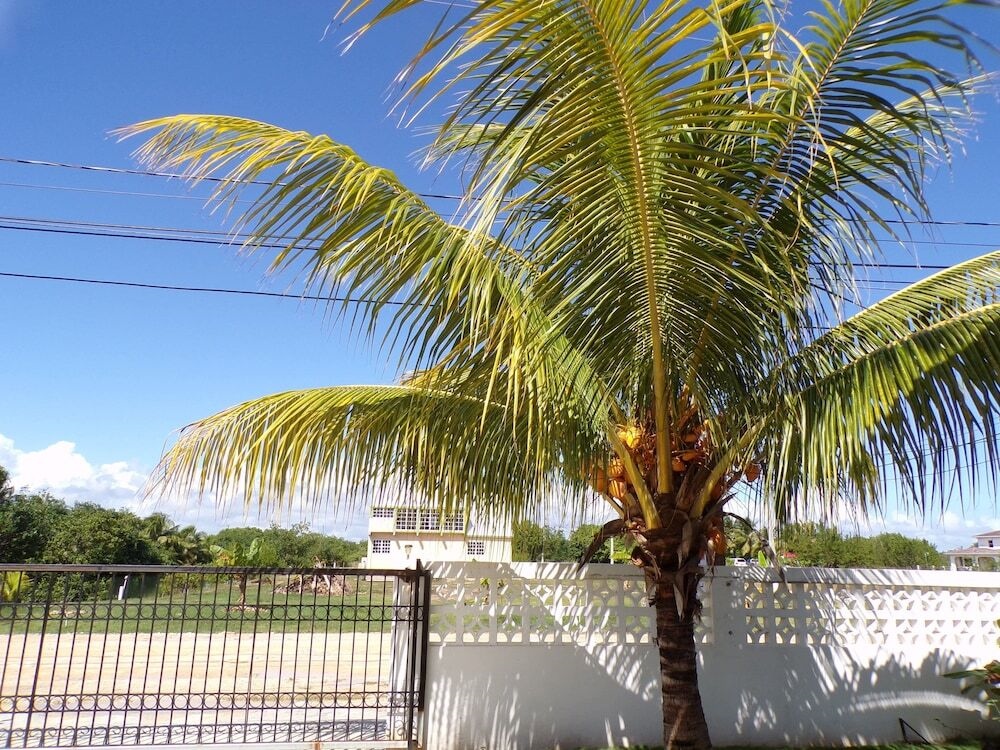 Bamboleo Inn Belize