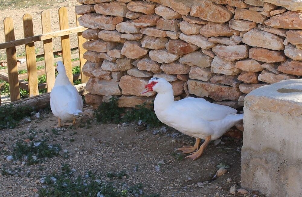 Casa Rural Els Matalepers