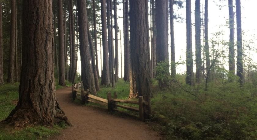 Brant Bed & Breakfast