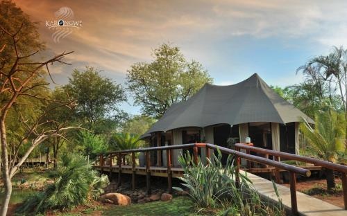Karongwe Portfolio - Chisomo Safari Camp