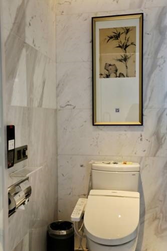 Yibin Celebrity City Hotel