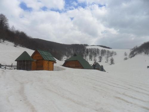 Chalet Scepanovic