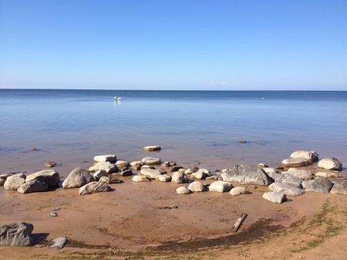 Apartments Melnalkšņi