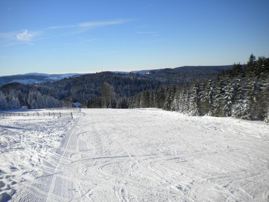 CHALET PLAINFAING, 3 PIeCES, 4 PERSONNES - FR-1-589-306