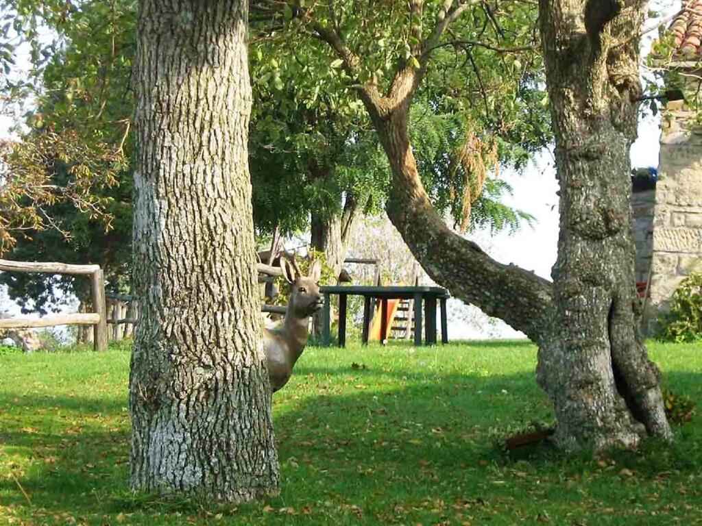 Azienda Agricola Piano Rosso - Two Bedroom No.2