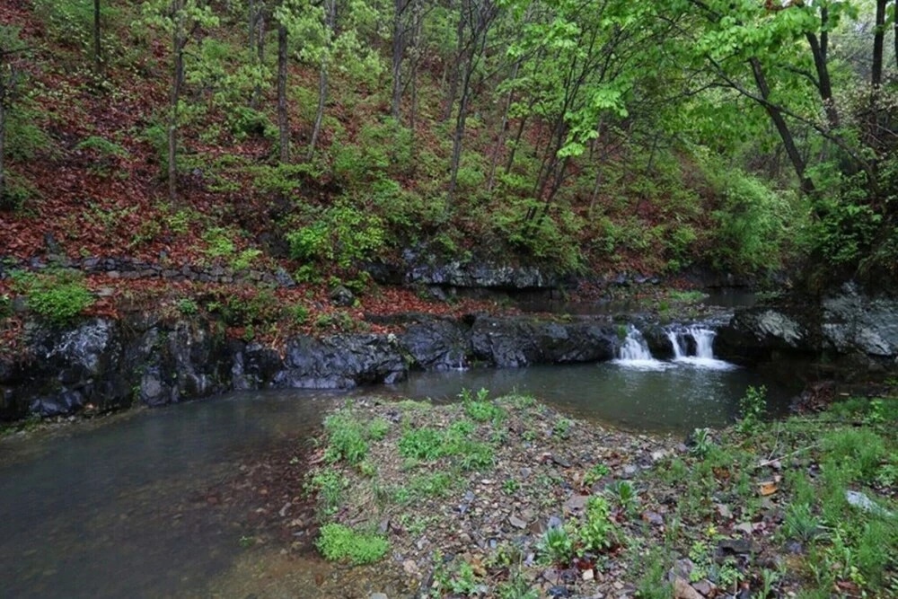 Cheongsong Songwol Pension