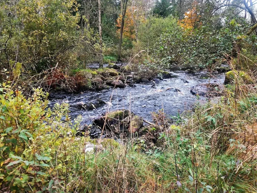 6 Person Holiday Home In Vittsjo