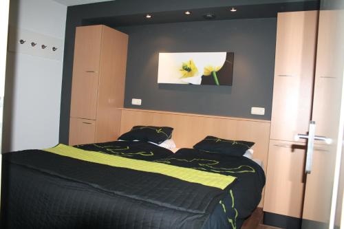 4 sterren Appartement APHRODITE Amelander-Kaap met ZWEMBAD