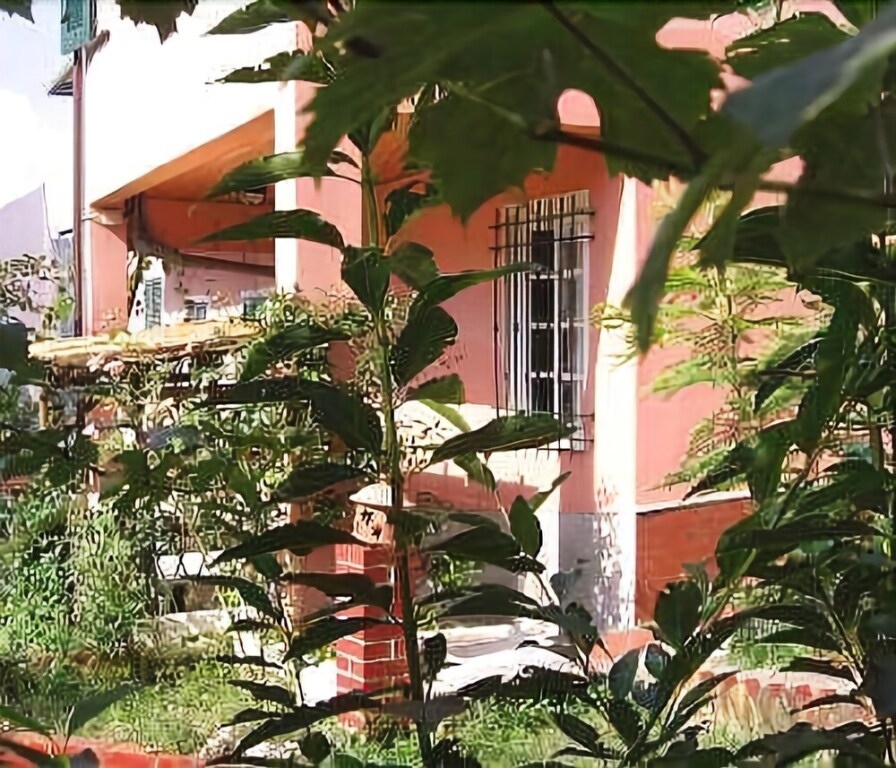 Appartamento La Via Del Mare