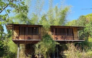 Deep Jungle Home Bandipur Mudumalai
