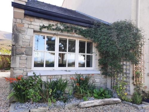 Croagh Patrick Lodge B&B