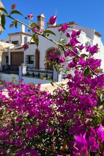 La Torre Alba - La Finca Golf Resort