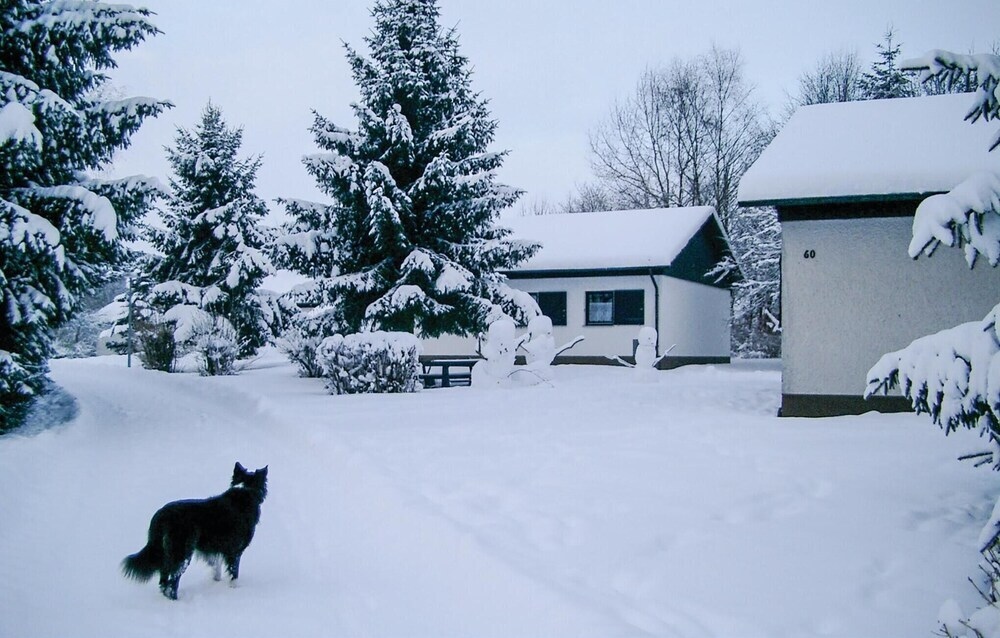 Awesome Apartment In Thalfang With 2 Bedrooms And Wifi