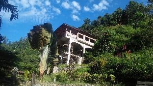 Back To Nature Ecotourism