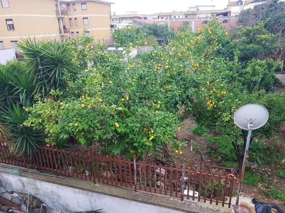 Apartment Via Aldo Moro - 2