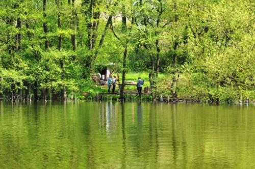 Dom Nad Jeziorem Gwiazda