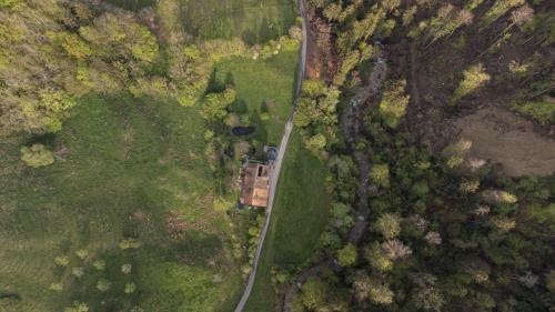 Ferienwohnung im Grünen