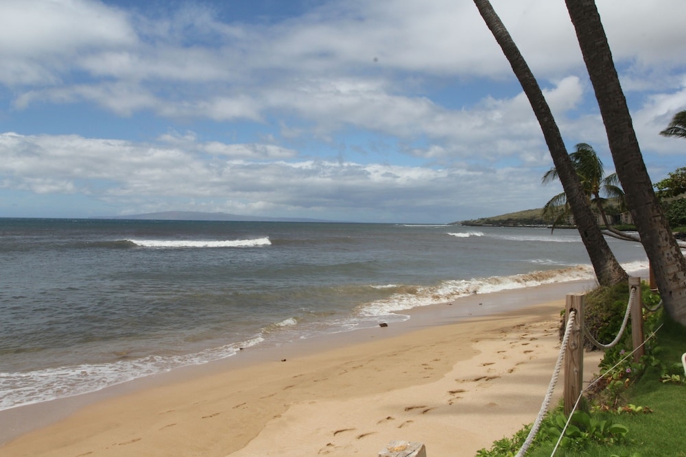 Hono Kai # A3 1 Bedroom 1 Bathroom Condo