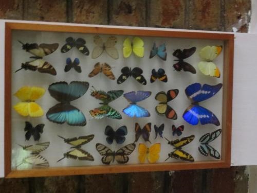 Hosteria Agoyan Hotel