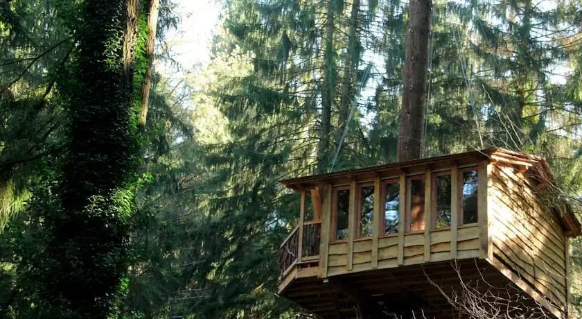 Cabanas En Los Arboles