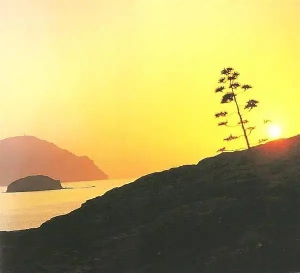 Campingred Cabo de Gata