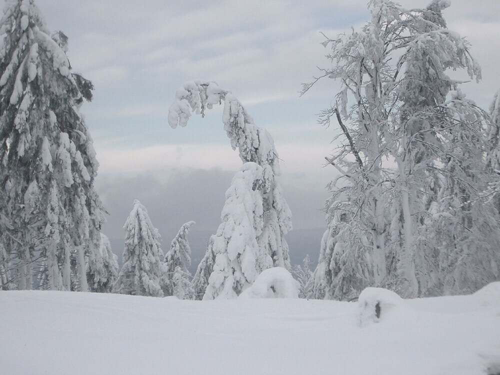Ellerbeck Gesundheits- Und Wellnesshof