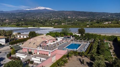Dipladenia Garden Country House
