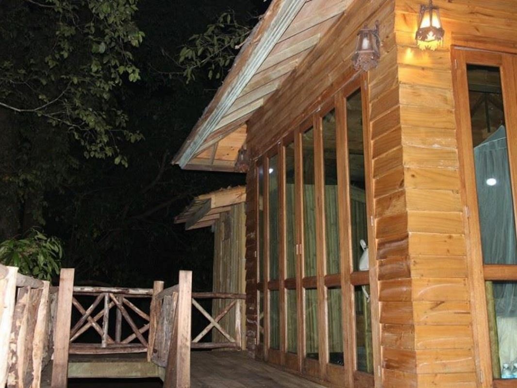 Dreamcaught Tree House