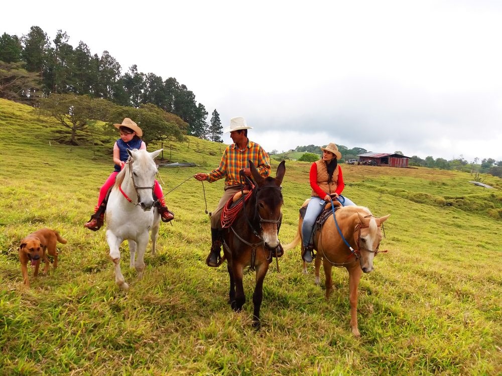 Hostal Victoria Volcán Chiriquí S. A.
