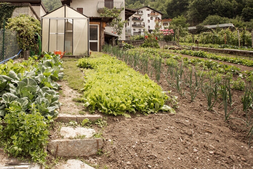 Appartamenti Stazzona