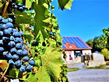 Camping Schwabenmuhle